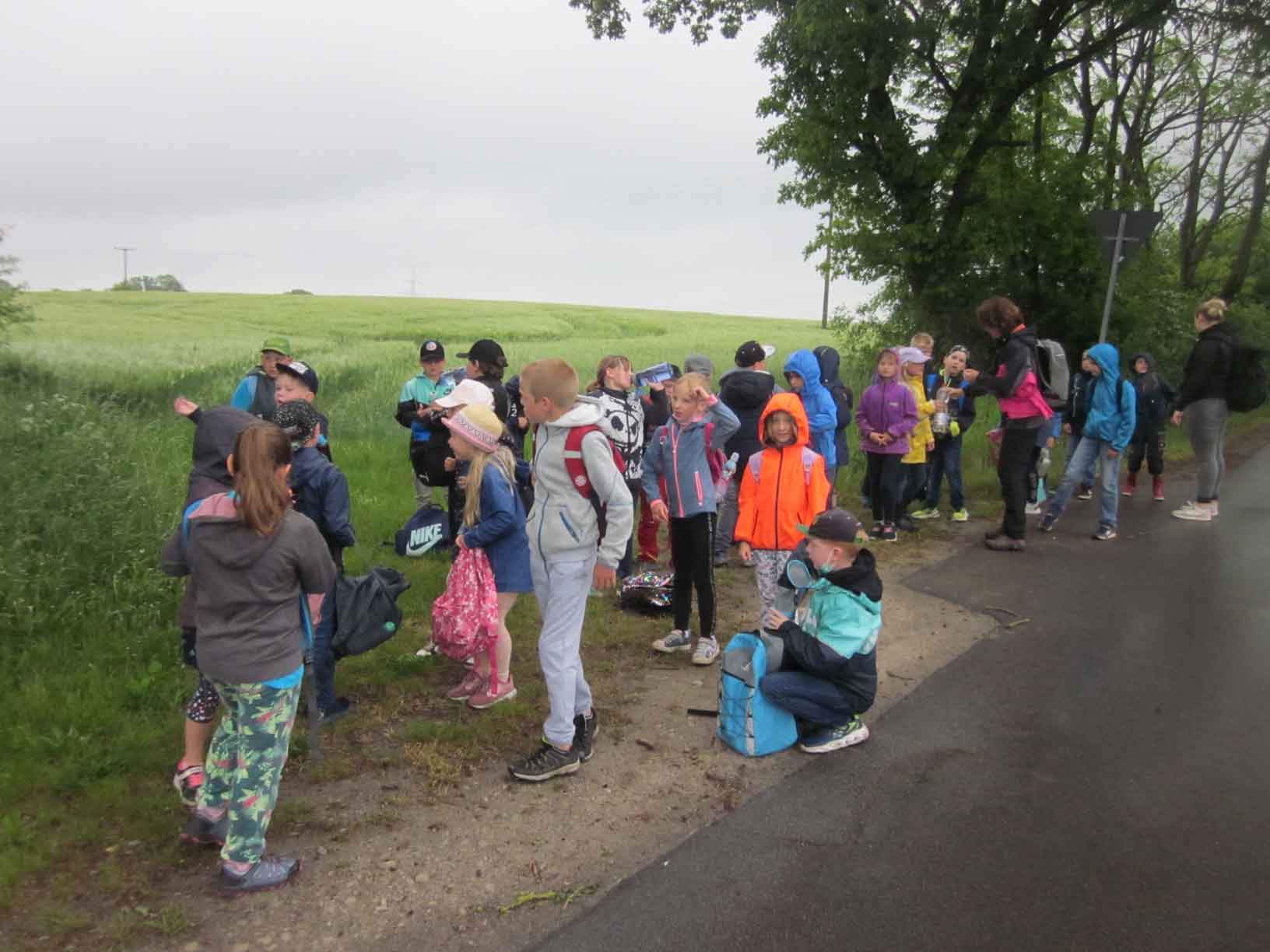 Wandern