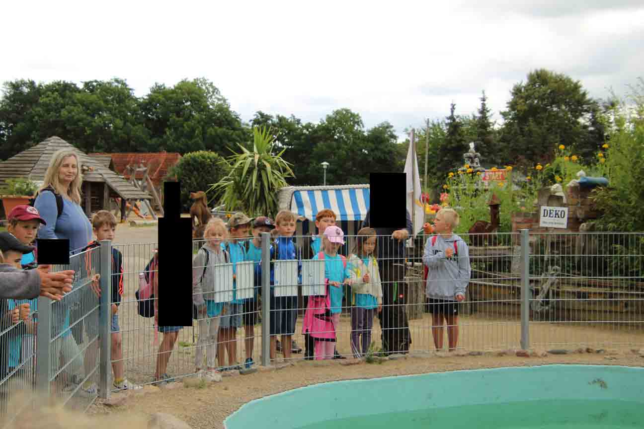 Pinguine beobachten