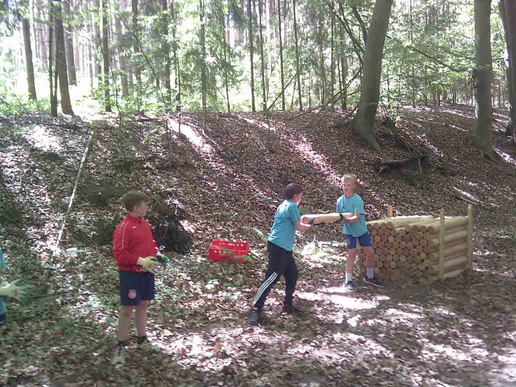 Holz stapeln