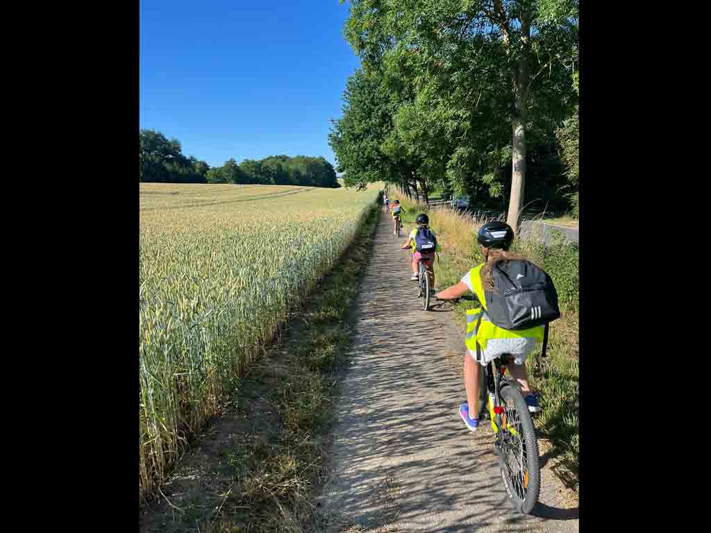Auf dem Weg